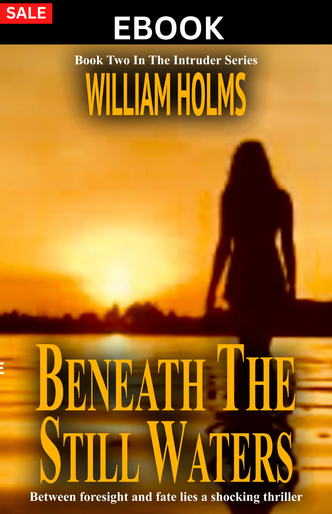 Beneath The Still Waters Ebook